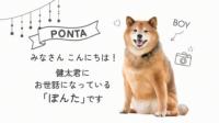 かわいいプロフィールムービー/しゃべる・きずな
