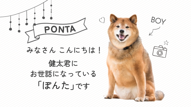 かわいいプロフィールムービー/しゃべる・きずな