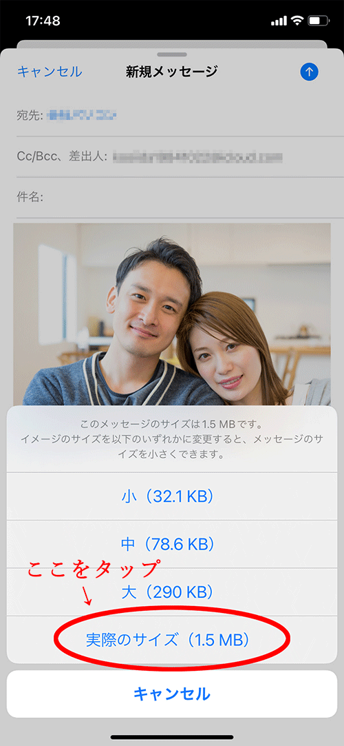 実際のサイズで送る