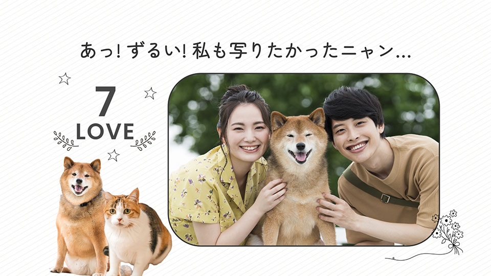 コミカルな演出が印象的!