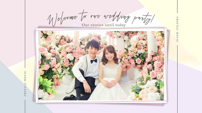プロフィールムービー プロフィールムービーのプリンセスネット