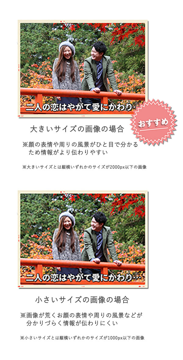 オープニングムービー 結婚式ムービーのプリンセスネット オープニングムービー 結婚式ムービーのプリンセスネット